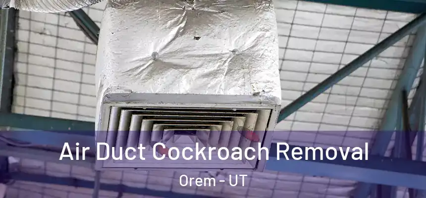 Air Duct Cockroach Removal Orem - UT