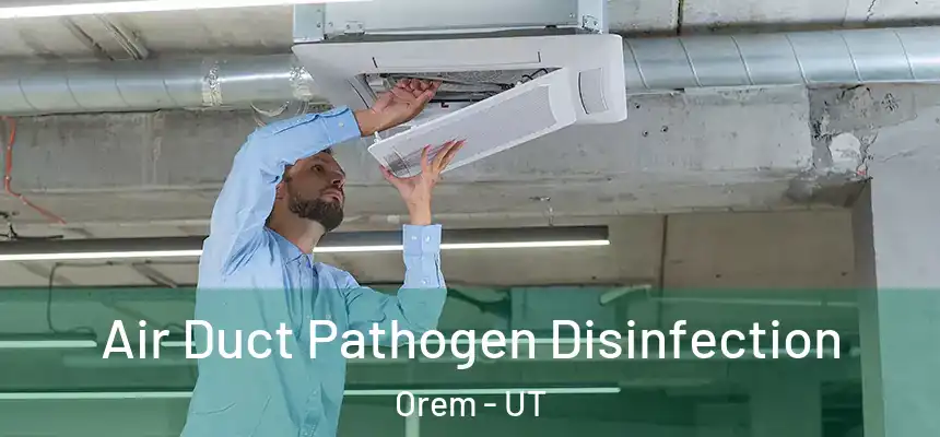 Air Duct Pathogen Disinfection Orem - UT