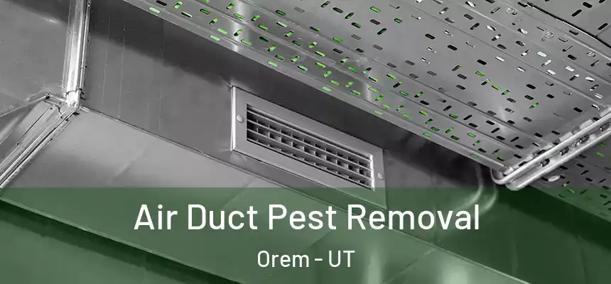  Air Duct Pest Removal Orem - UT