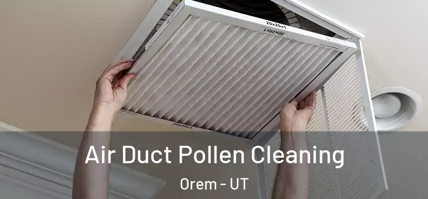 Air Duct Pollen Cleaning Orem - UT