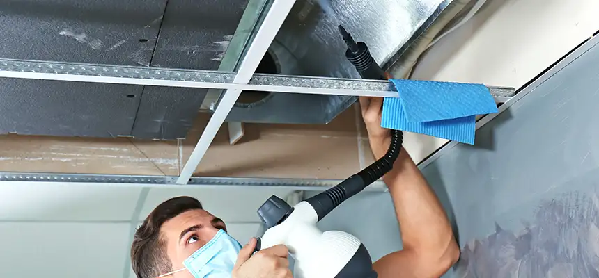 Our Air Duct Rodent Removal Services in Orem, UT