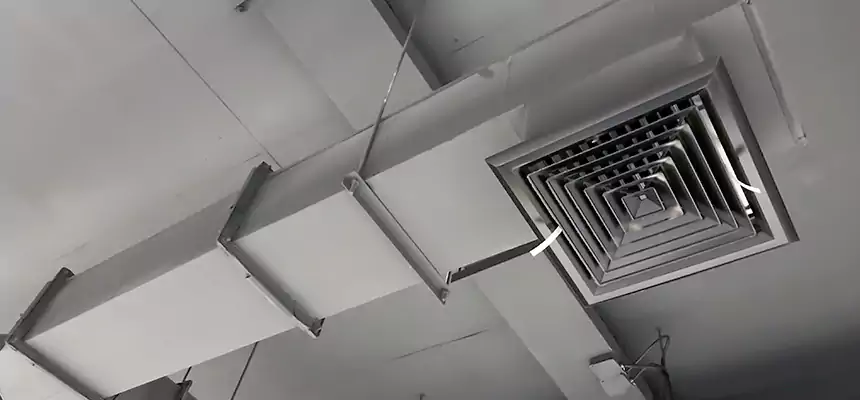 Our Rodent Droppings In Vents Services in Orem, UT