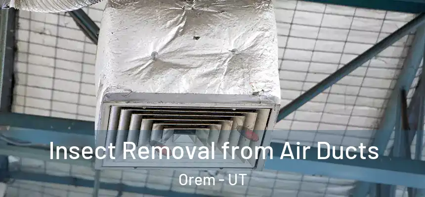 Insect Removal from Air Ducts Orem - UT