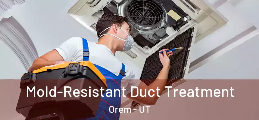  Mold-Resistant Duct Treatment Orem - UT