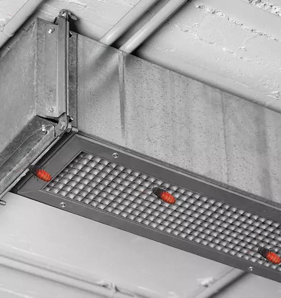 About Air Duct Cockroach Removal in Orem, UT