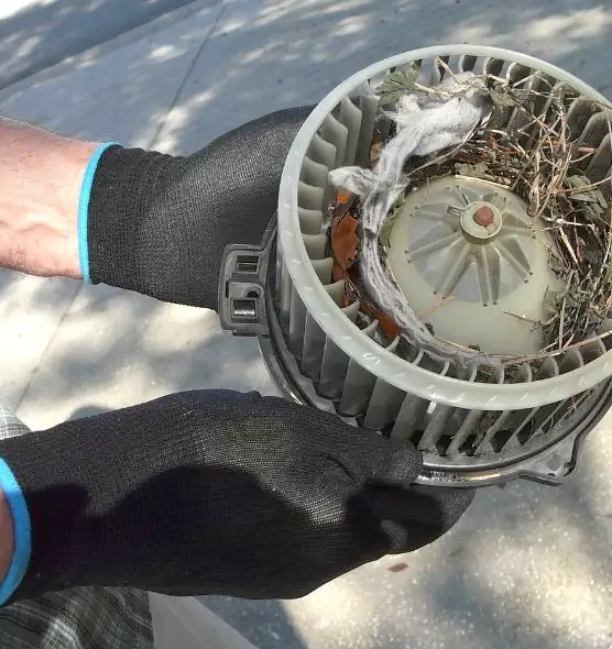 About Air Duct Mice Removal in Orem, UT