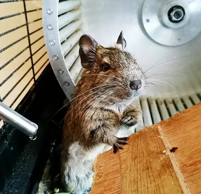 Why Homeowners & Businesses Trust Us Orem, UT?