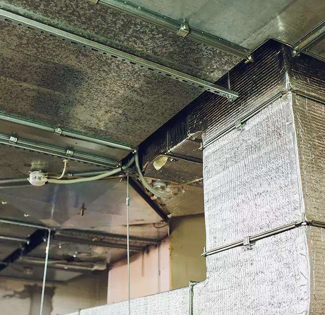 Why Homeowners & Businesses Trust Us in Orem, UT?